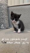 !...Sleep🛌💤 ‌‌ ‌‌