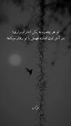 ......آیا غیـر از اینه؟!...... 