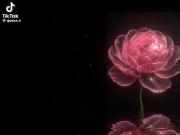 ‌ ‌ ‌ ‌ ‌ ‌ ‌ ‌ ‌ ‌ ‌ ‌💕⃝‌ ‌ ‌ ‌