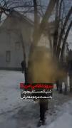 نیروی امنیتی ایران vs نیروی امنیتی آمریکا