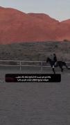 💤‌‌، ‌‌‌‌‌‌‌‌‌‌‌‌‌‌‌‌‌‌‌‌‌‌‌‌