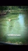 غازه دوستان غاز:) 😂🦭