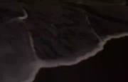 ‌ ‌