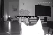 ‌ چرا؟