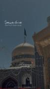 _بـیـد مجنـ‌ون. . 