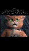 _بـیـد مجنـ‌ون. . 
