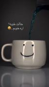 _بـیـد مجنـ‌ون. . 