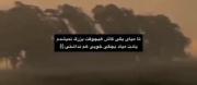 _بـیـد مجنـ‌ون. . 