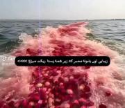 اصلا عاشقتم 💋🤍‌‌‌‌‌‌‌‌‌‌‌‌‌‌‌