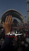 فی امان الله؛ در پناه ابی عبدالله:) 