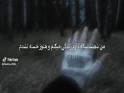 ‌‌. ‌