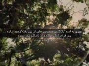 اینو باید به بعضیا تزریق کرد😂💔
