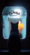 چند روزه به جای من اون میشه فدای تو میمیره برای تو خیرس تو چشای تو  