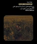 یا دل به رویایی نبند/یا بر این رویای ویران گریه کن:)... 