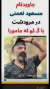 اگر هنوز هم دروغ های اینترنشنال رو باور میکنید،نگاه کنید