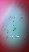 در تاریخ ثبت کنید . . .‌‌‌‌‌‌‌‌