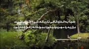 بزارید رد مهربونیتون بمونه نه زخم رفتارتون ...✨