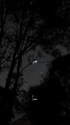 ای الهه ناز:)!....... 🙃💫🌒