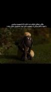 گاهی کلمات تیز تر از چاقواند:)))