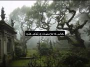وای حققق عررر‌‌‌‌‌‌‌‌‌‌‌‌‌‌‌‌‌‌‌