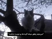 چطوری بعضیا از پیشی بدشون میاد🙁 