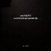 آری در دنیایی که به حسین ظلم شد خوشبختی وجود ندارد...