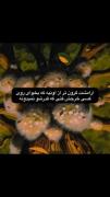 چیزی که من ندارمش⁦(⁠눈⁠‸⁠눈⁠)⁩....