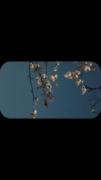 هیچوقت‌تو‌لحظه‌نبودم؛‌‌‌‌‌‌‌‌‌‌‌