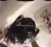 ـــــــــــــــــــــــــــــــ