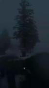 بی تو پیر میکنه بودن،🥀🚶‍♂️🚶‍♂️