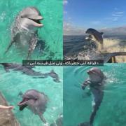 چیزی که واقعا خواهرم هست 😂🤧✅