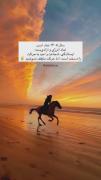 سال ۱۴۰۵سال اسب انشالله این سال خوب باشه🕊️