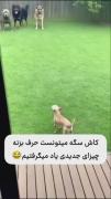 یه فوش خواهر مادر دار تهش بود بمولا 🤦🏻‍♀️😂