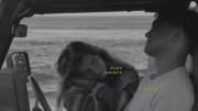 به هر حال آرزوم بودی 💔❤️‍🩹🕊️