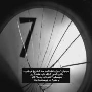 و منم ۷ بار دوست دارم پسری imanm🫶🏻