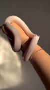 🎀💅 I Love Snake ‌‌‌‌‌‌‌‌‌‌‌‌‌