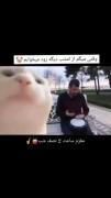 وقتی یک بار واقعا تصمیم گرفتم زود بخوابم🤣🤣