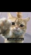 من هیچ نقطه ضعفی ندارم ولیییی‌‌.