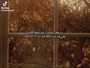 چطوری از پاییز متنفر باشم وقتی دختر کوچولو ابانیه😭🎀