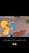 به شهریوریا بی توجهی نکنید میزارن میرناا😭💔