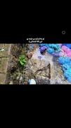 تو به اندازه همین گل ها زیبایی🤧🛐