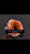 اینو بفرست برای زیباترین دختری که میشناسی