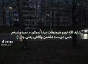 شاید اگر تورو هیچ وقت پیدا نمیکردم نمیفهمیدم که..