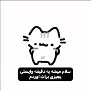یلحظه وایسا یچیزی برات اوردم...