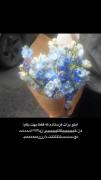 من خیلسیییییییییی زیااااااادددددددد دوست دارمممممممم
