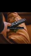 Starletریزه میزه ی من🥺😂💞‌‌‌‌‌‌
