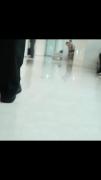 خفننننن.سریال کره ای اقای پلانکتون