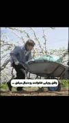 وقتی رویای خودت/خانوادتو میری‌‌‌‌‌