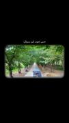 سریال کره ای عشق چسبناک ما‌‌‌‌‌‌‌