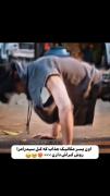 #درخواستی سیدراما.سریال سرعت و عشق